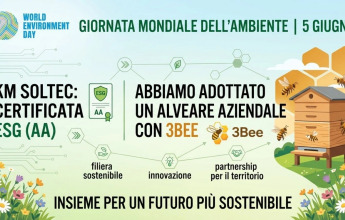 ESG-Zertifizierung und Corporate Beehive: Das konkrete Engagement von KM Soltec für Nachhaltigkeit